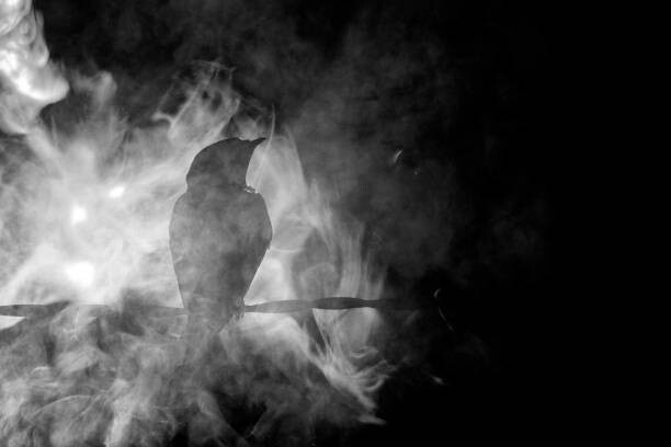 Poster Spooky Crow in the Fog at Night