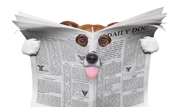 Poster spy dog reading a newspaper