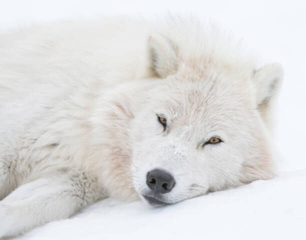 Poster Taking it easy...