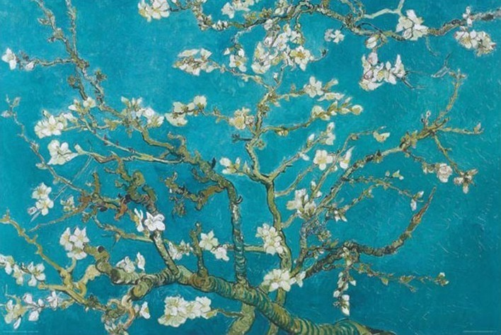 Vincent van Gogh - Almond Blossom Aan Remy 1890 Poster