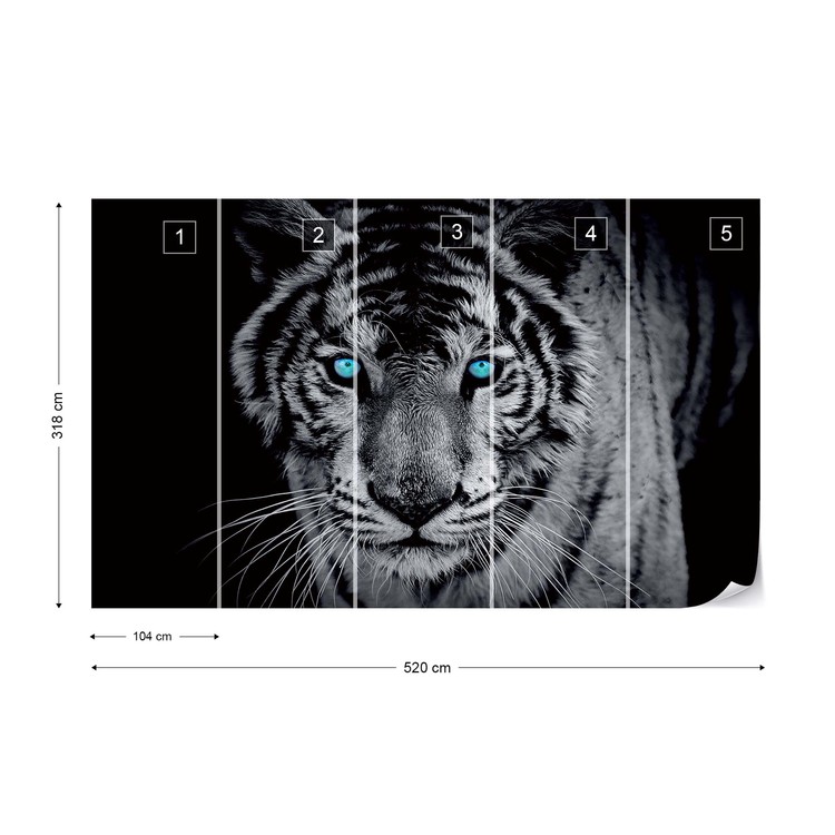 Tigre Poster Mural Papier Peint Acheter Le Sur Europosters Fr