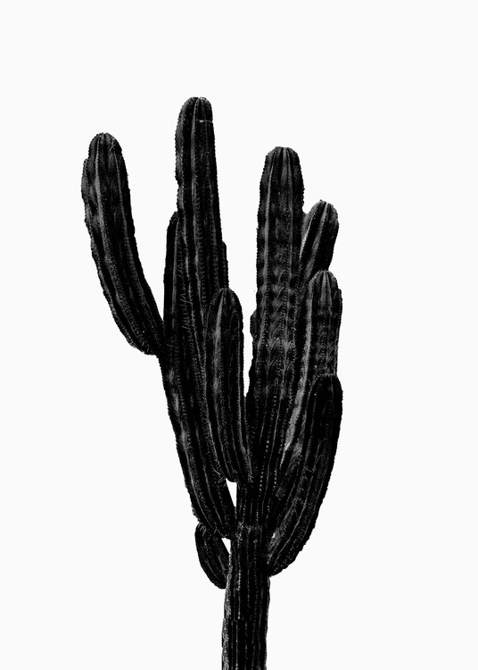 BLACK CACTUS Poster Mural XXL