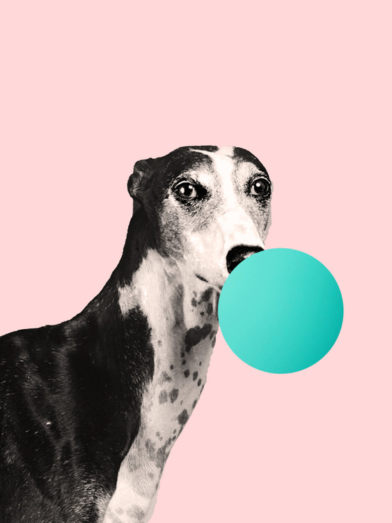 bubblegumdog Poster Mural XXL