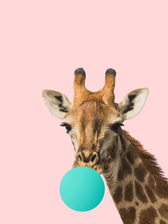 bubblegumgiraff1 Poster Mural XXL