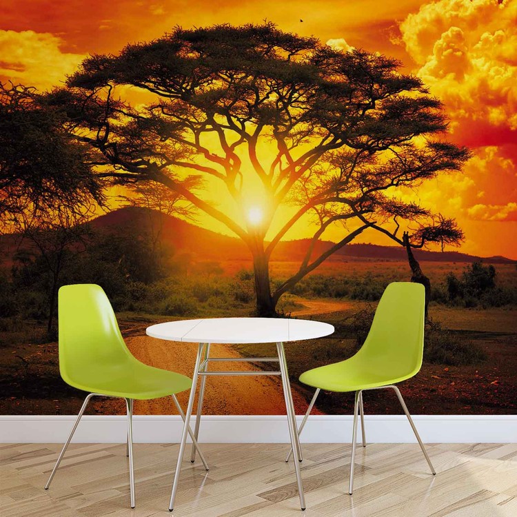 Coucher de Soleil Afrique Arbre Nature  Poster  Mural  