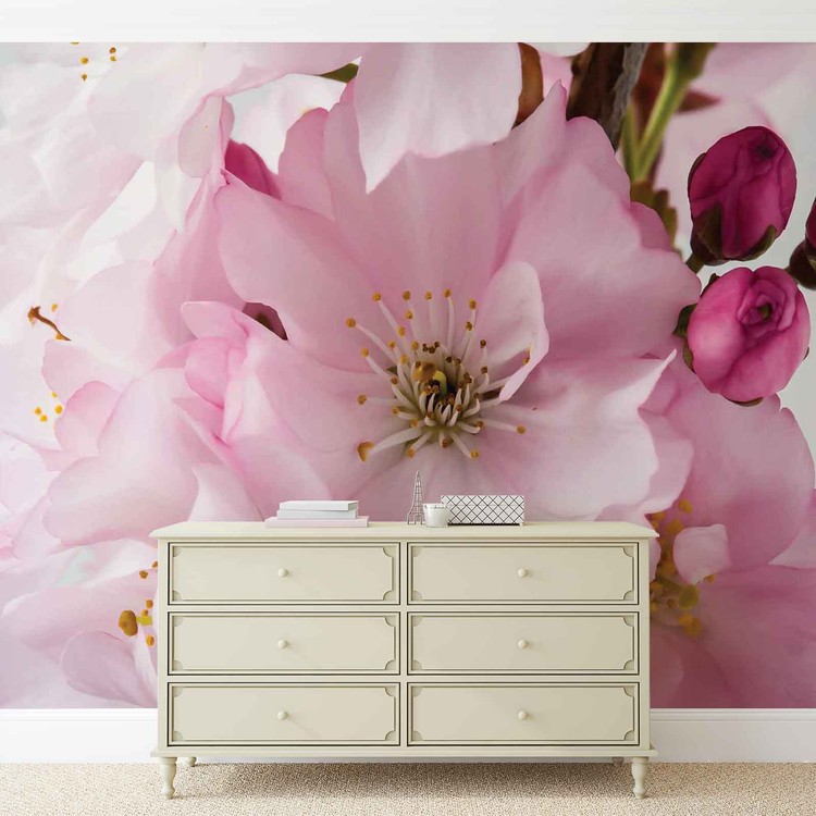  Fleurs  closes Nature Rose Poster  Mural  Papier peint 