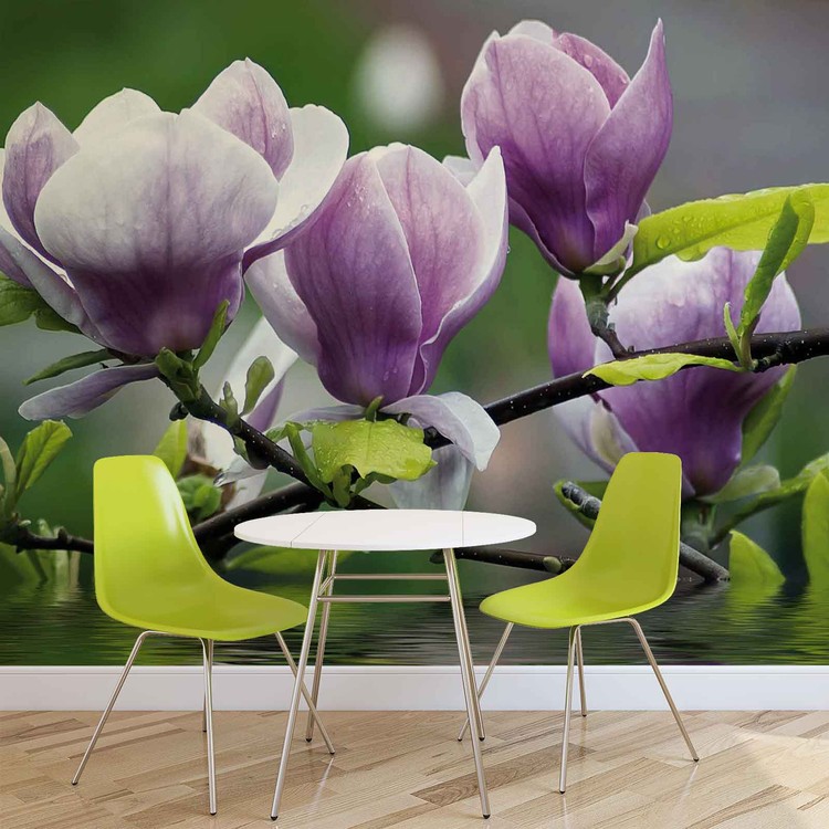 Fleurs Magnolia Eau Poster Mural XXL