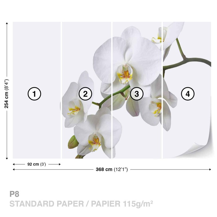 Fleurs Orchidees Nature Blanc Poster Mural Papier Peint Acheter Le Sur Europosters Fr