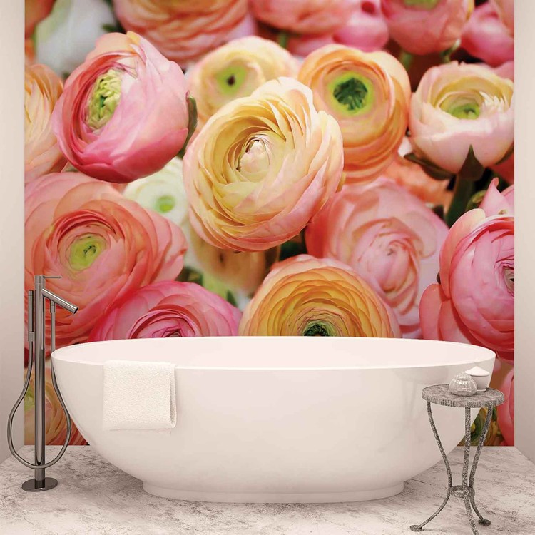 Fleurs Pivoines Couleurs Poster Mural XXL