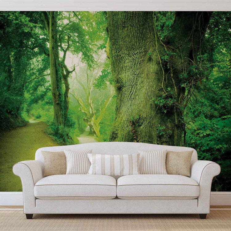  For t  Nature Arbres Poster  Mural  Papier peint Acheter 