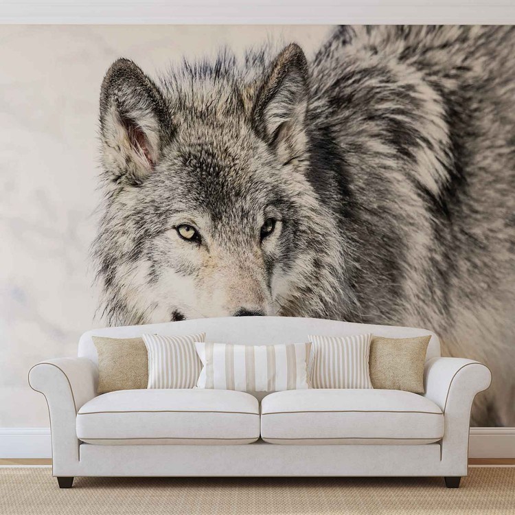 Loup Animal Poster Mural, Papier peint  Acheter-le sur 