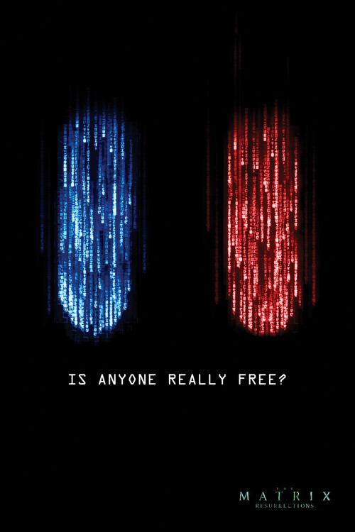 Matrix - Est-ce que quelqu'un est vraiment libre? Poster Mural XXL