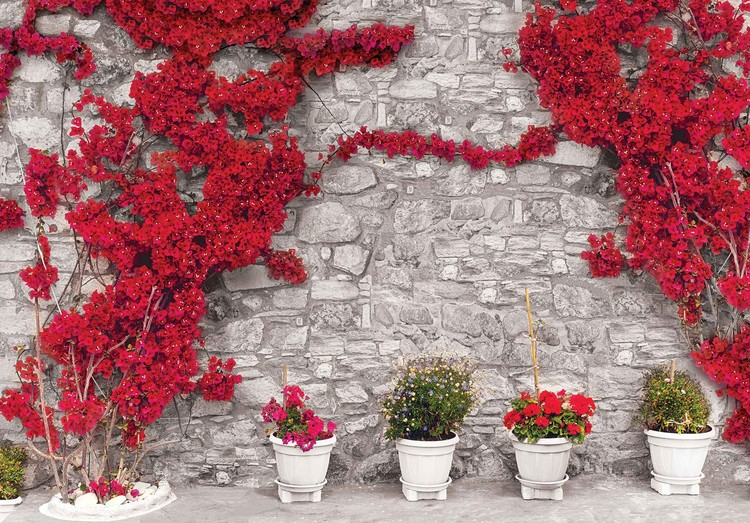 Mur de pierre aux fleurs rouges Poster Mural, Papier peint 