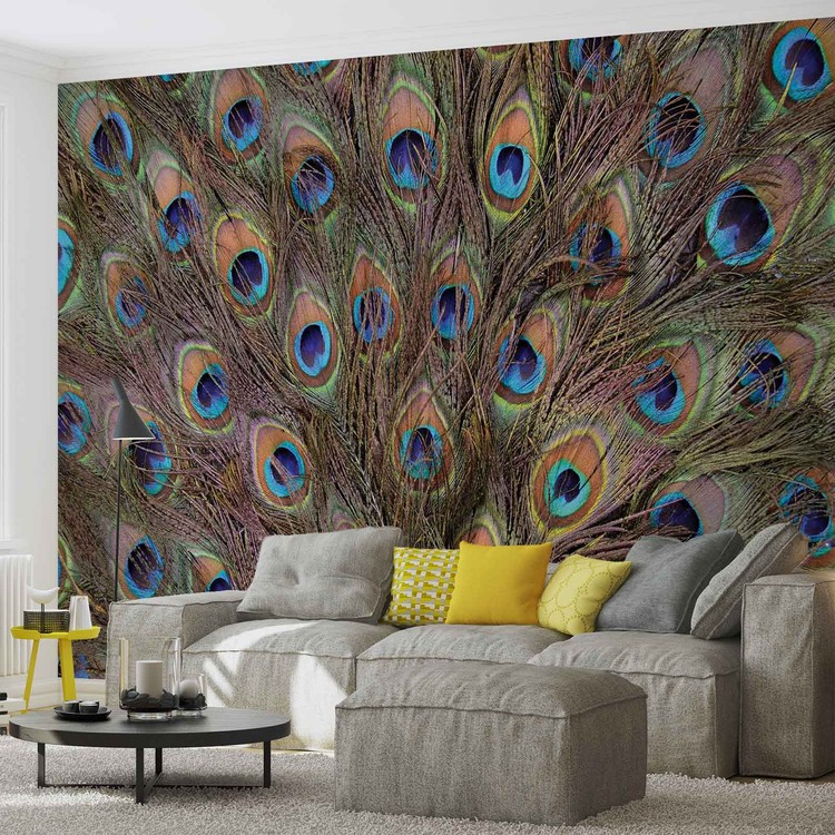 Plumes de paon Poster Mural, Papier peint | Acheter-le sur Europosters.fr