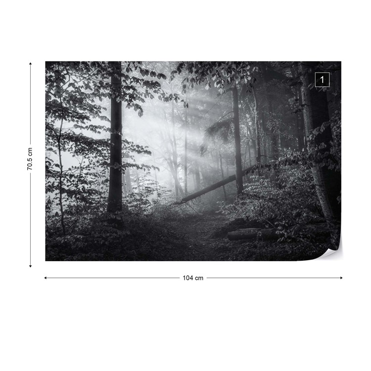 Poster XXL Forêt en noir et blanc