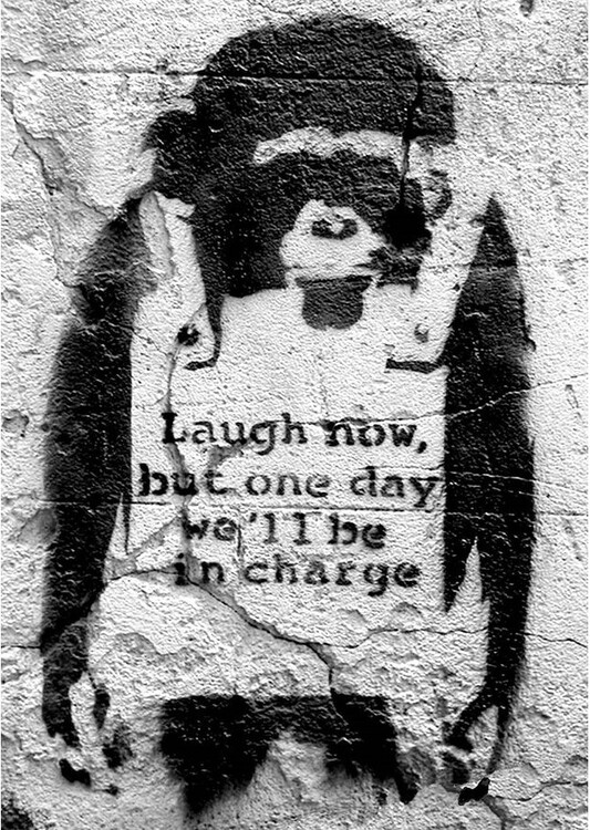 Póster Banksy street art - chimp