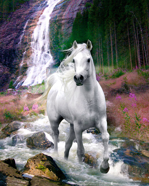 Poster, Quadro Three running horses - bob langrish | Poster sul muro