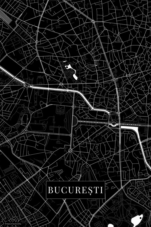 Wall Mural Bucuresti black