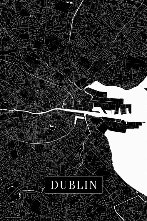Behang Dublin black