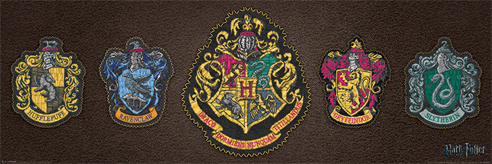 Harry Potter - Magic Póster, Lámina