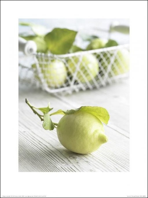 Howard Shooter - Lemons Kunstdruck