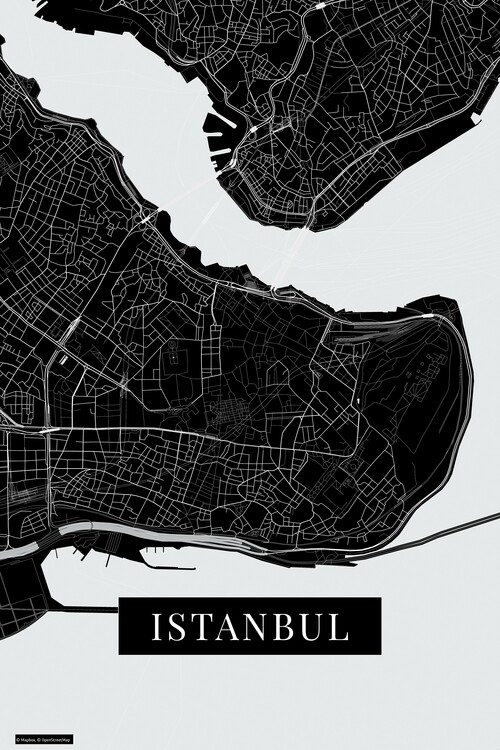 Behang Instanbul black