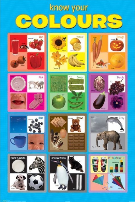 Poster Know your colours | Wall Art | 3+1 FREE | Europosters