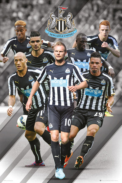Delgado Horror trolebús Newcastle United FC - Players 14/15 Póster, Lámina | Compra en Posters.es