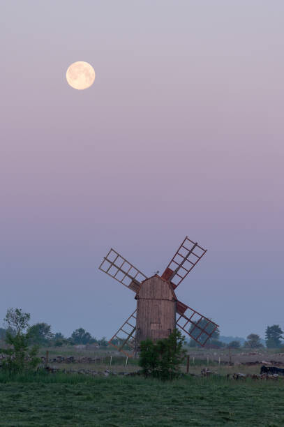Póster Old Windmill with the moon