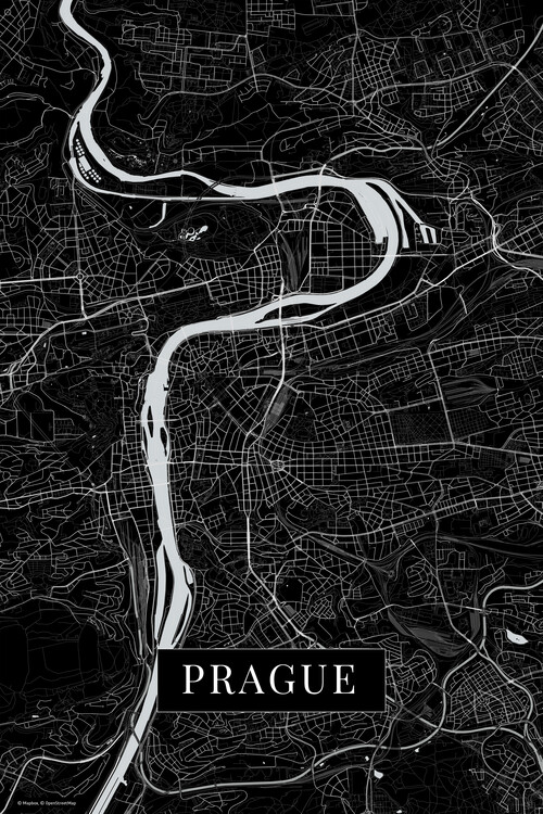 Fotomural Prague black