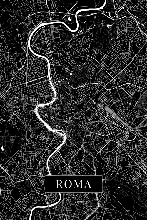 Behang Roma black
