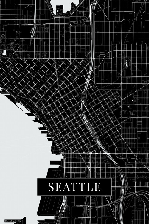 Behang Seattle black