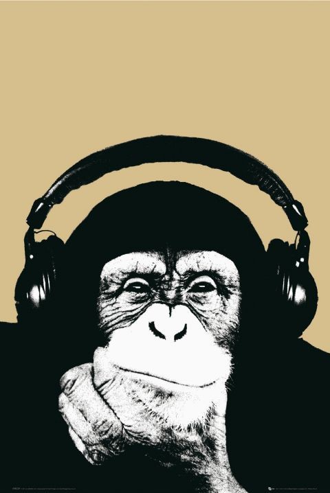 Плакат Steez - monkey