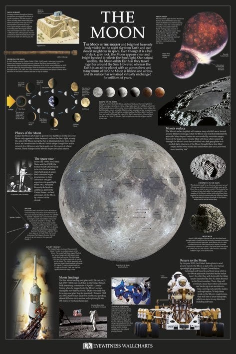 Poster The Moon Wall Art Ts And Merchandise Ukposters