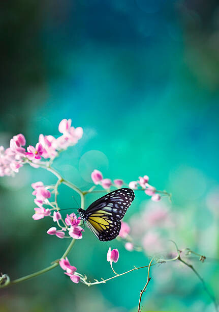 Poster Trails of spring