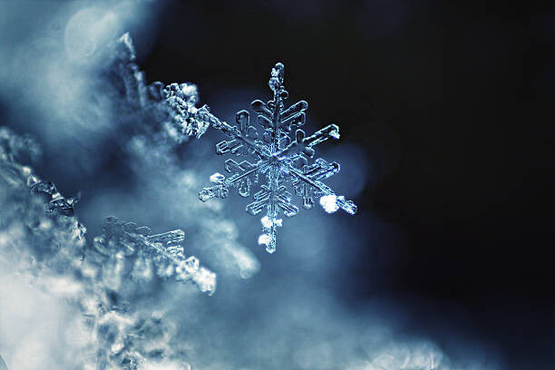 Sticker Real snowflake macro