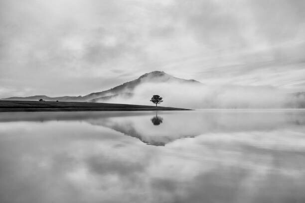 Tričko Reflective trees on the lake