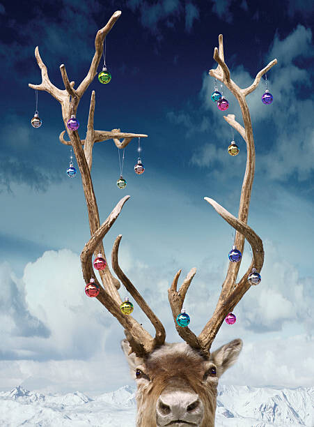Tričko Reindeer's antlers decorated with baubles, close-up