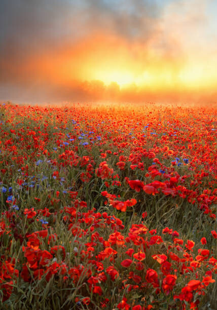 Samolepka Simply Red.