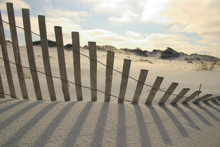 Obraz Fence on the Beach