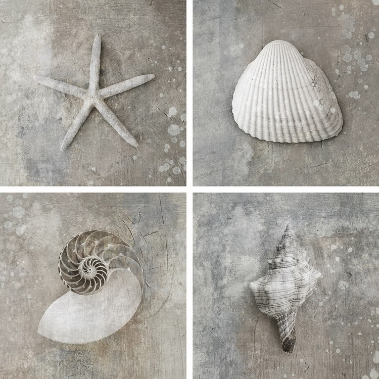 Skleněný Obraz Moře - Bílá koláž