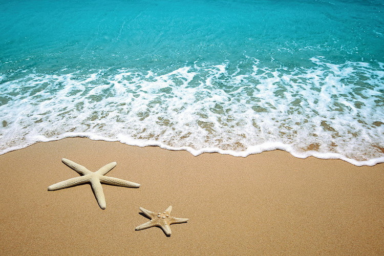 Skleněný Obraz Moře - Hvězdy v písku