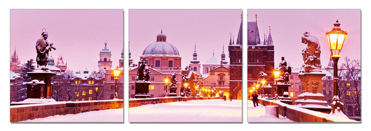 Snowy city Obraz
