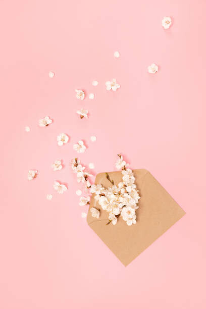 Samolepka Spring greeting card with many white