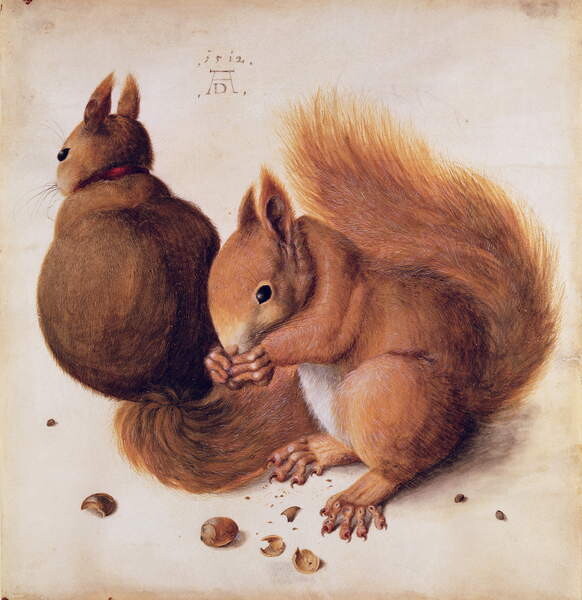 Samolepka Squirrels, 1512