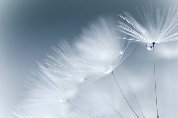 Quadro su tela best wishes...