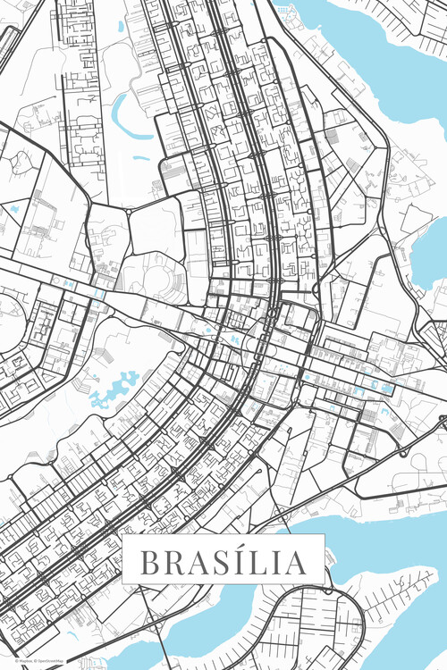 Quadro su tela Brasilia white