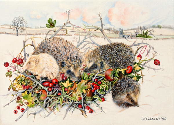 Quadro su tela Hedgehogs in Hedgerow Basket, 1996