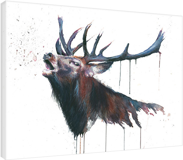 Quadro su tela Sarah Stokes - Roar