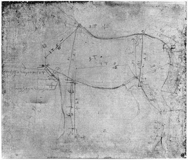 Quadro su tela Study of a Horse (metal point on paper)